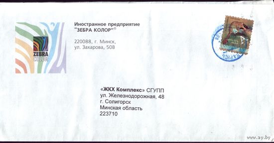 Зебра колор 2