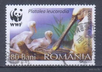 [338] Румыния 2006. Фауна.Птицы.Колпица. Гашеная марка. 2