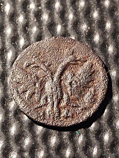 1 полушка 1719 г. ПЁТР I - НД. Год славянскими буквами.