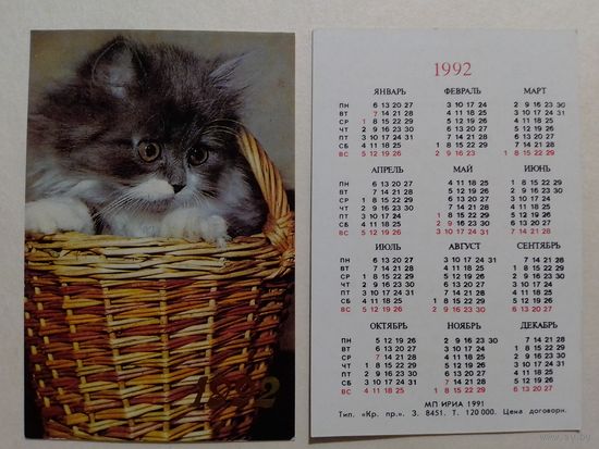 Карманный календарик. Котик.1992 год