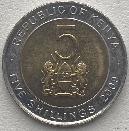 Кения 5 шиллингов 2009 г. Состояние