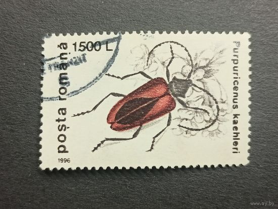 Румыния 1996. Насекомые - Жуки. Усач Келера