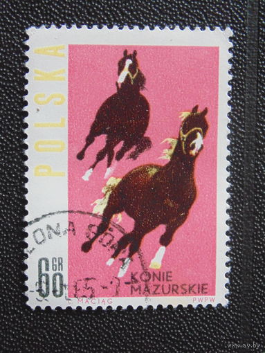 Польша 1965 г.