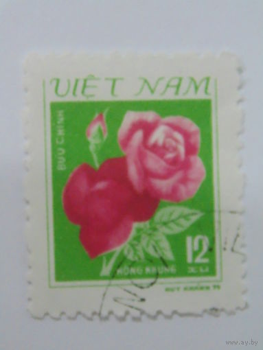Вьетнам 1979 г. Розы.