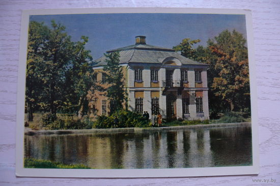 Петродворец; 1964, чистая (размер 10*15).