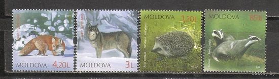 ФФ1 Молдова 2011 Фауна