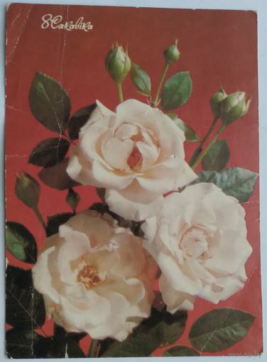 Открытка ,,8 марта,, 1990 г. подписана