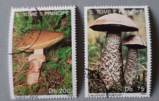 Грибы. Сан-Томе и Принсипи, 1992г
