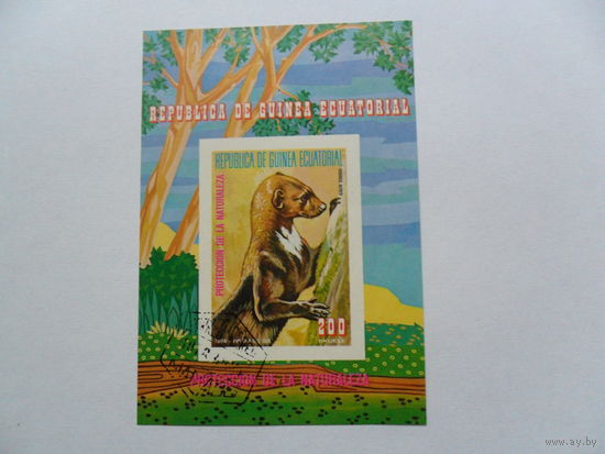 Экваториальная Гвинея, фауна