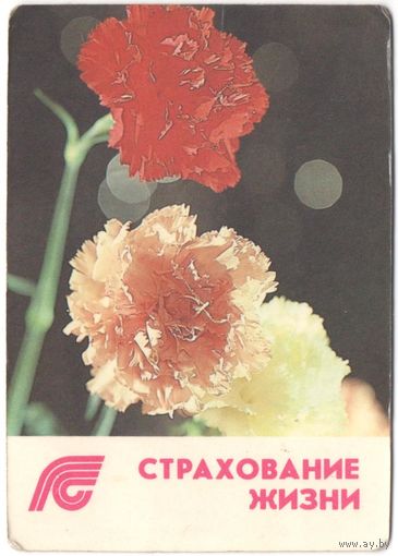 Карманный каленарик