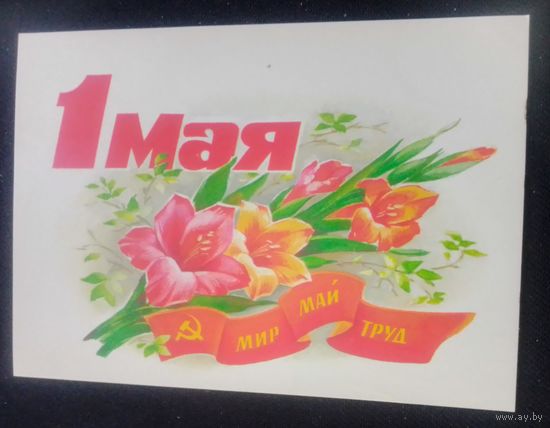 1 Мая!(худ. В.Дергилева)