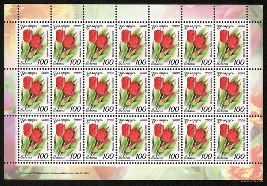 Беларусь. 2008. Стандарт.  Тюльпан (100р) (з.131-2009) Нет просечки снизу Лист