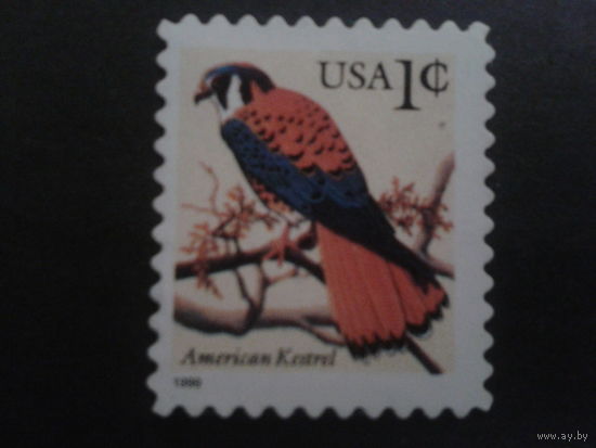 США 1999 стандарт, птица
