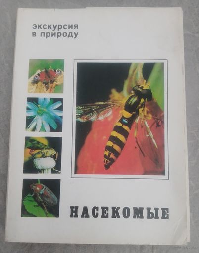 Экскурсия в природу.Насекомые.