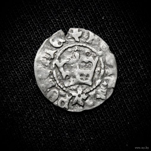 Полугрош 1492-1501 г. Краков (Великое Княжество Литовское), Ян Ольбрахт