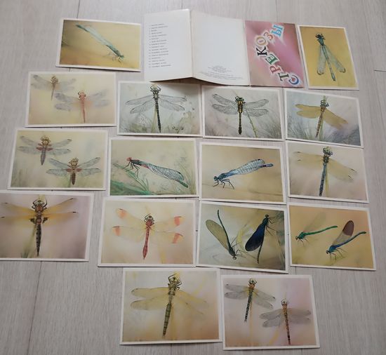 Стрекозы. худ. Аристов. Насекомые. Фауна. Природа. Комплект. Набор. 1987 г. 16 шт.