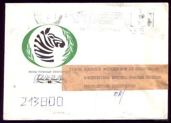 Зебра