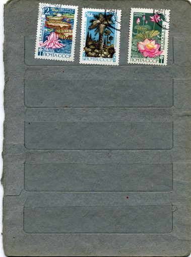 СССР, 1966,  СУХУМСКИЙ БОТ САД   серия 3м 3289-91