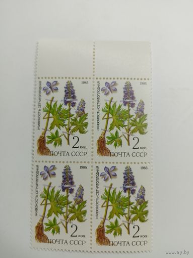 1985 СССР. Флора. Живокость сетчатоплодная. Квартблок