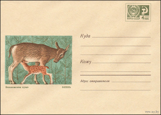 Художественный маркированный конверт СССР N 6314 (12.05.1969) Беловежская пуща  Олень