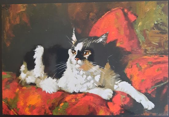 Из серии "Маленькие кошачьи радости". 2016 г. Россия.