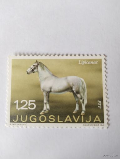 Югославия 1969  конь