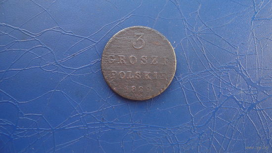 3 гроша 1829                                                                                                                     (4870)