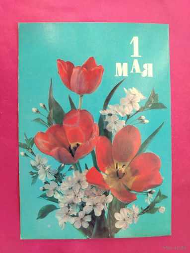 1 Мая! Чистая. 1990 года. Дергилев. 2544.