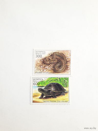 Марки Беларусь 2003 Пресмыкающие