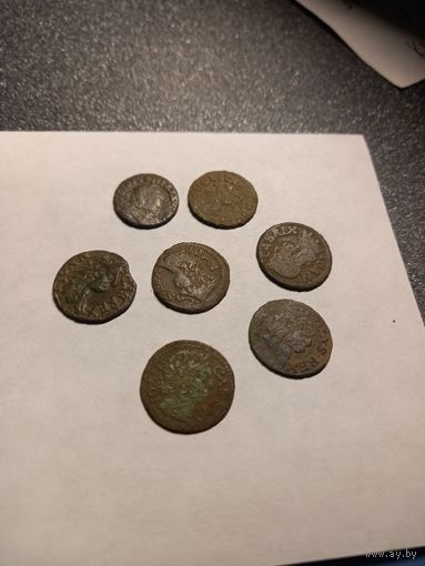 Солиды боратинки Ян Казимир Ваза, Август 3