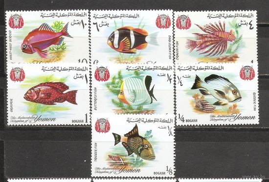 ФФ2 Йемен 1967 Рыбы