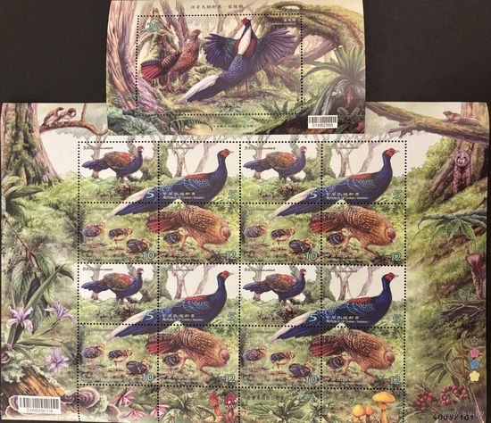 Тайвань Китай 2014 Тайваньский фазан Птицы блок и лист из 4 серий MNH