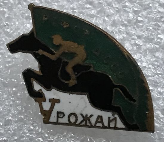 ДССО УРОЖАЙ РСФСР КОННЫЙ СПОРТ