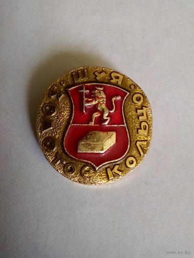 Значок.Золотое кольцо.Шуя.