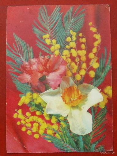 Цветы. Чистая. 1976 года. Фото Дергилева. #308.