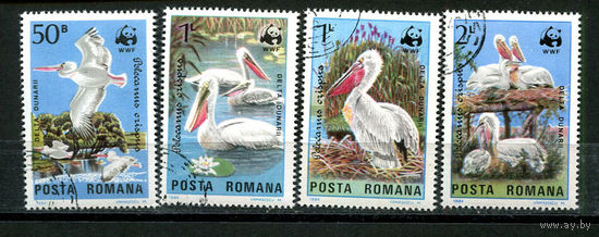 Румыния - 1984 - Птицы - [Mi. 4104-4107] - полная серия - 4 марки. Гашеные.  (Лот 18JE)-TG2P5
