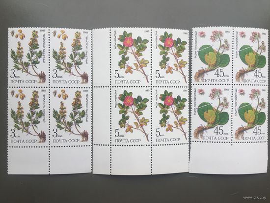СССР 1985 год. Цветы (кварты)
