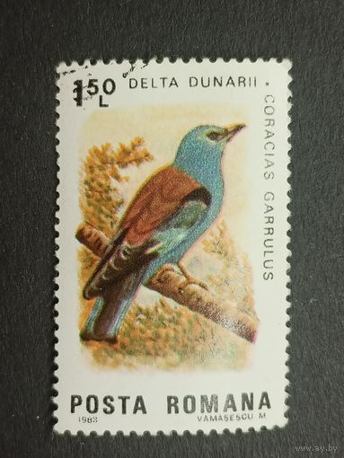 Румыния 1983. Птицы дельты Дуная. Сизоворонка