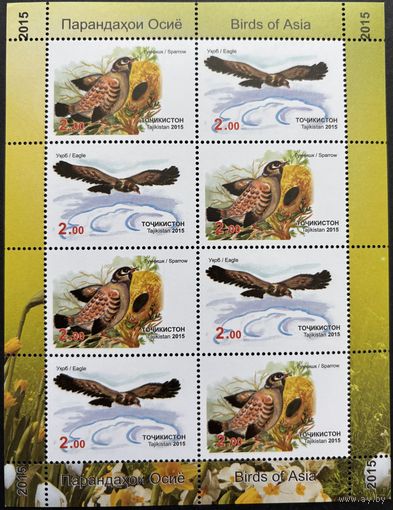 Таджикистан 2015  . Фауна . Птицы  Малый Лист из 4 серий