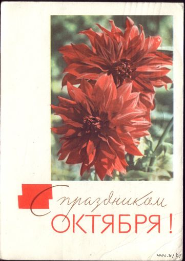 1967 год Д.Смирнов С праздником Октября!