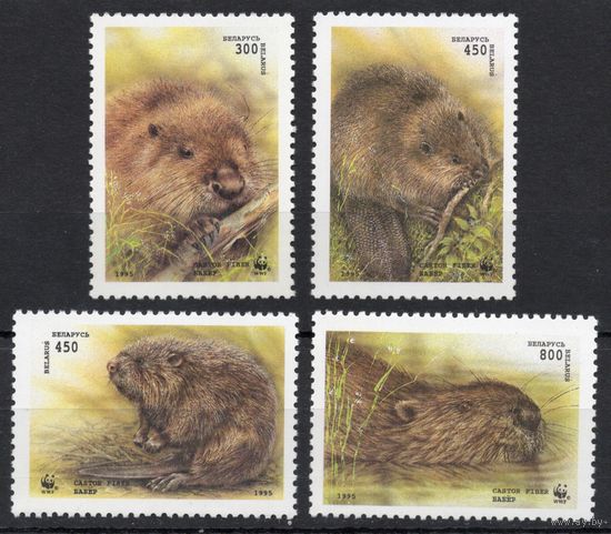 Беларусь 1995. Фауна. Европейский бобер 4 марки (48)