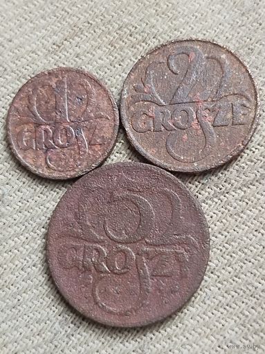 Распродажа - 1 грош 1938г,2 гроша 1930г,5 грошей 1923г.,Польша ,Вторая Республика