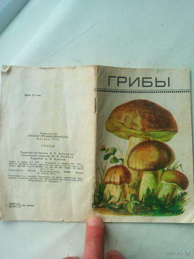 Брошура "ГРИБЫ"
