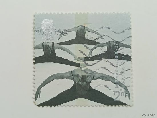 Великобритания 2000. Тело и кости