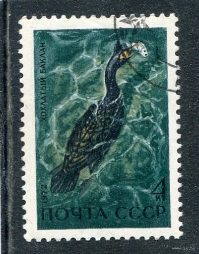 СССР 1972.. Водоплавающие птицы. Хохлатый баклан