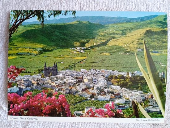 Большие Канары, Арукас. Крупнейший центр выращивания бананов