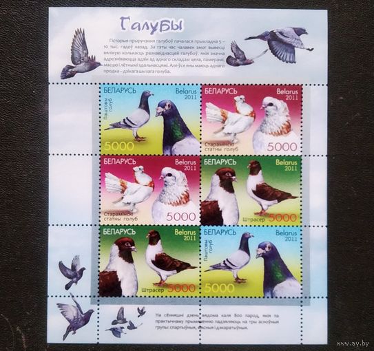 Беларусь 2011 Голуби