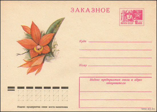 Художественный маркированный конверт СССР  N 9997 (17.09.1974) Заказное  [Орхидея]