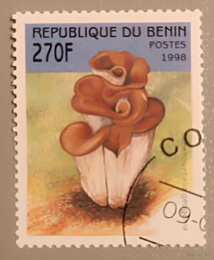 Грибы. Бегин, 1998