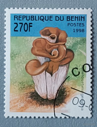 Грибы. Бегин, 1998